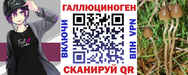 магазин продажи наркотиков Салаир Галлюциногенные грибы Psilocybe