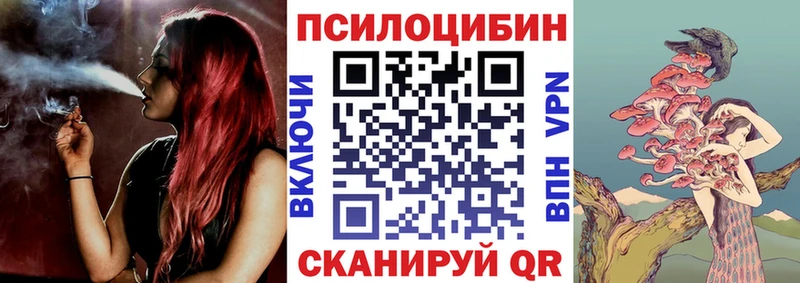 Галлюциногенные грибы мицелий Салаир